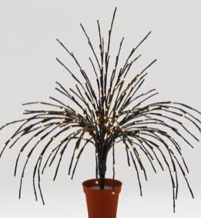 Albero corallo luminoso nero