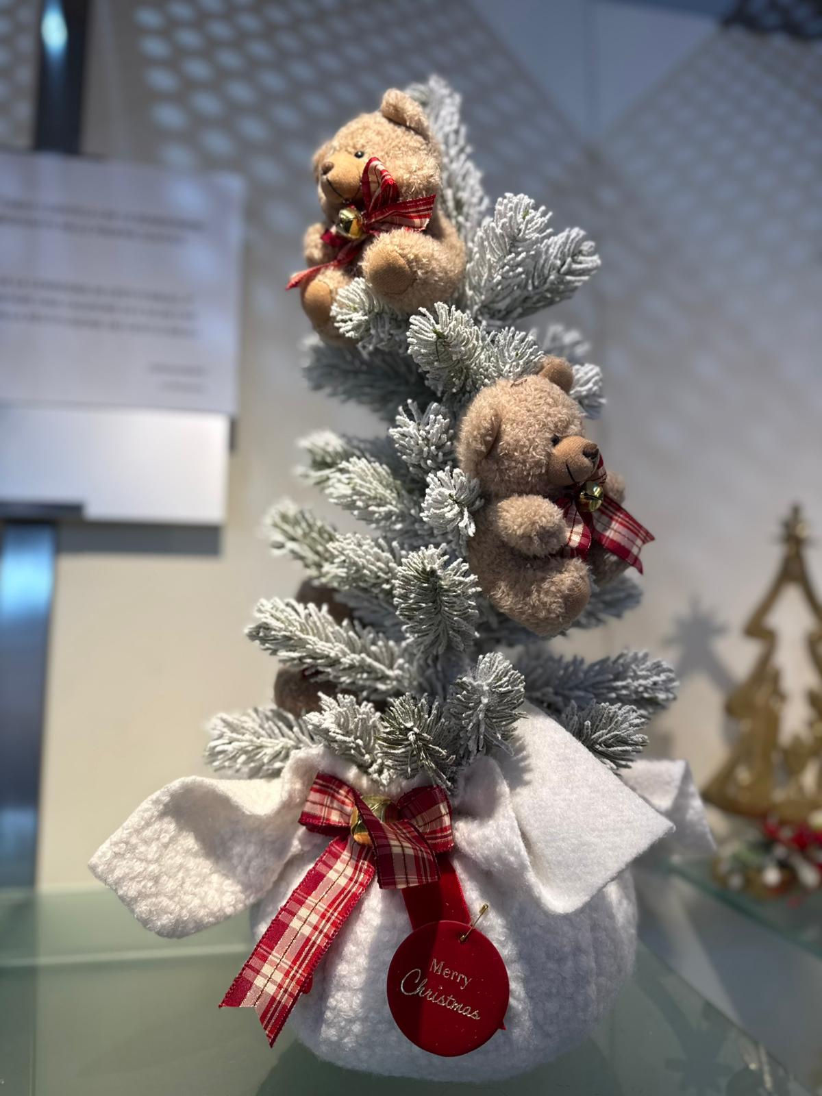 Alberello con Teddy innevato