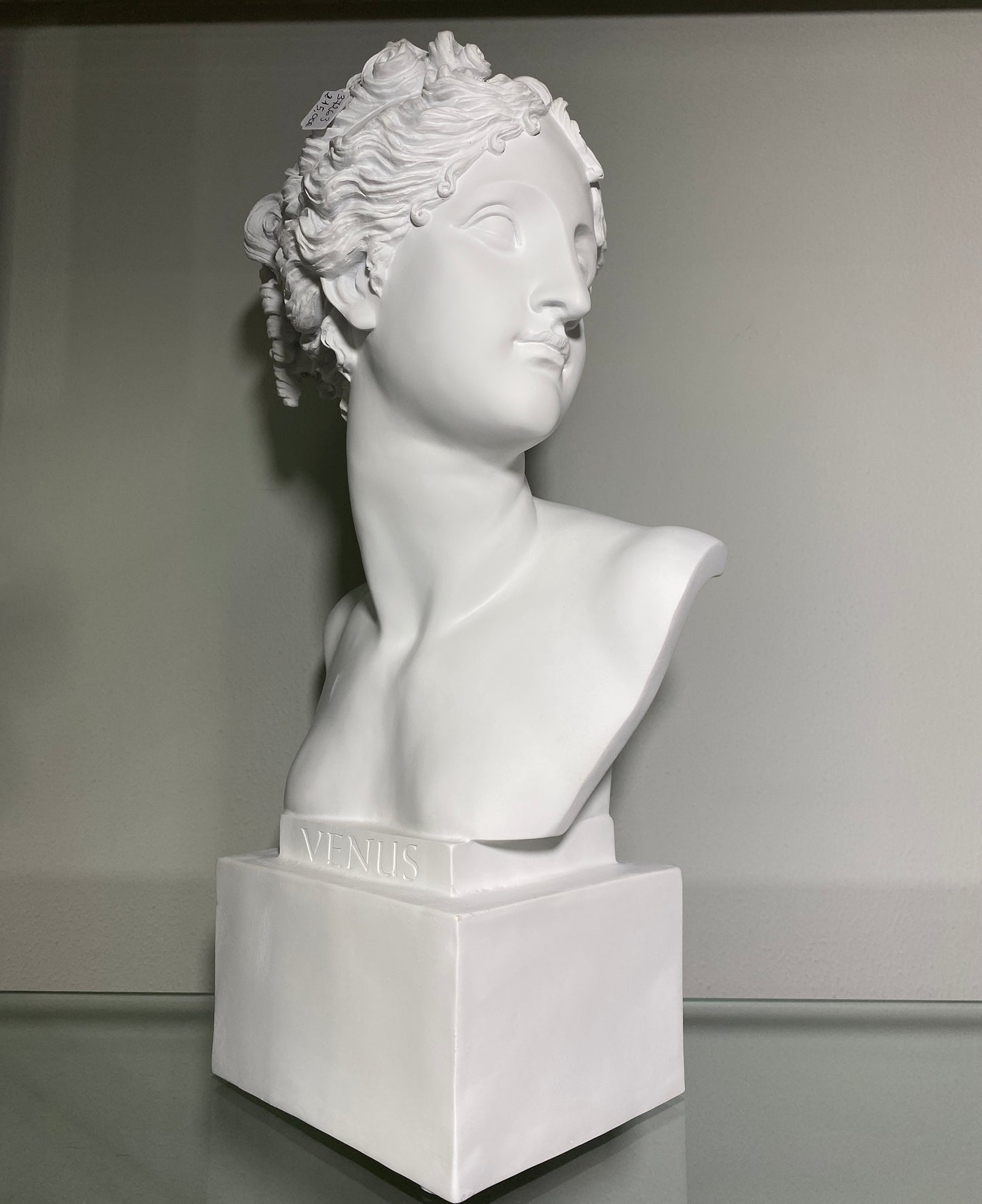busto uomo Palais Royal