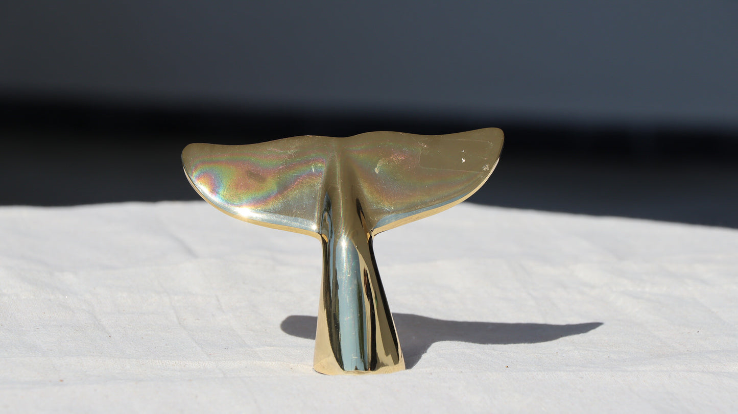 In "Culo alla Balena" Bacimanzia