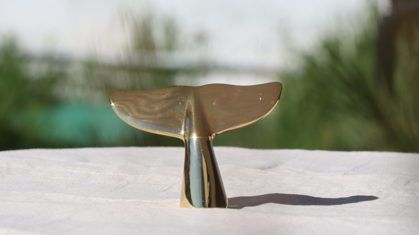 In "Culo alla Balena" Bacimanzia