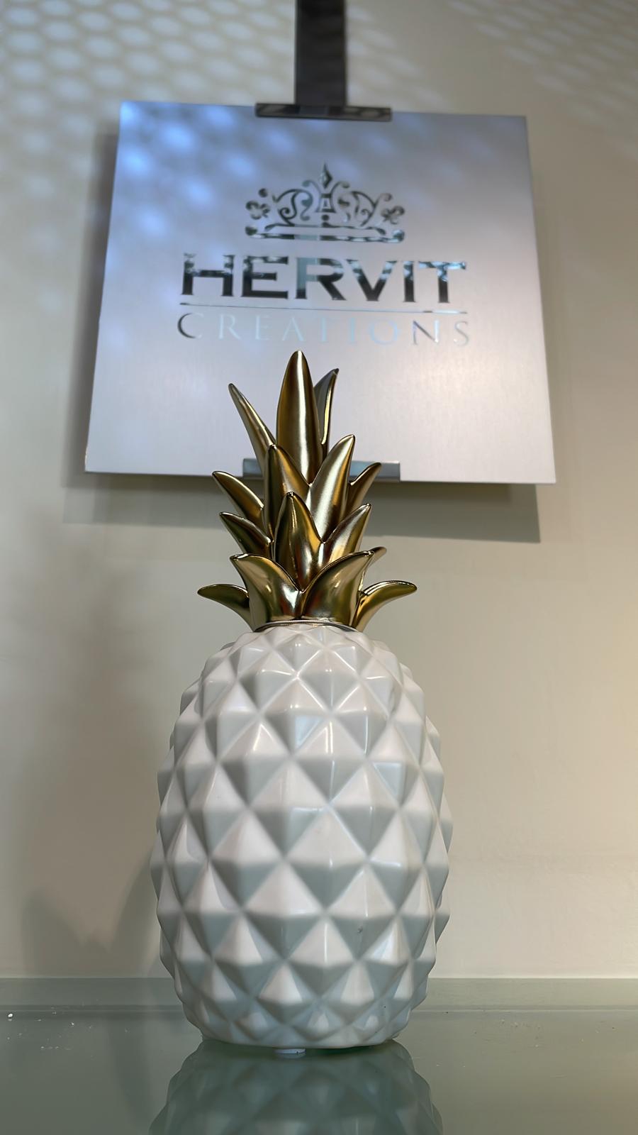contenitore ananas HERVIT