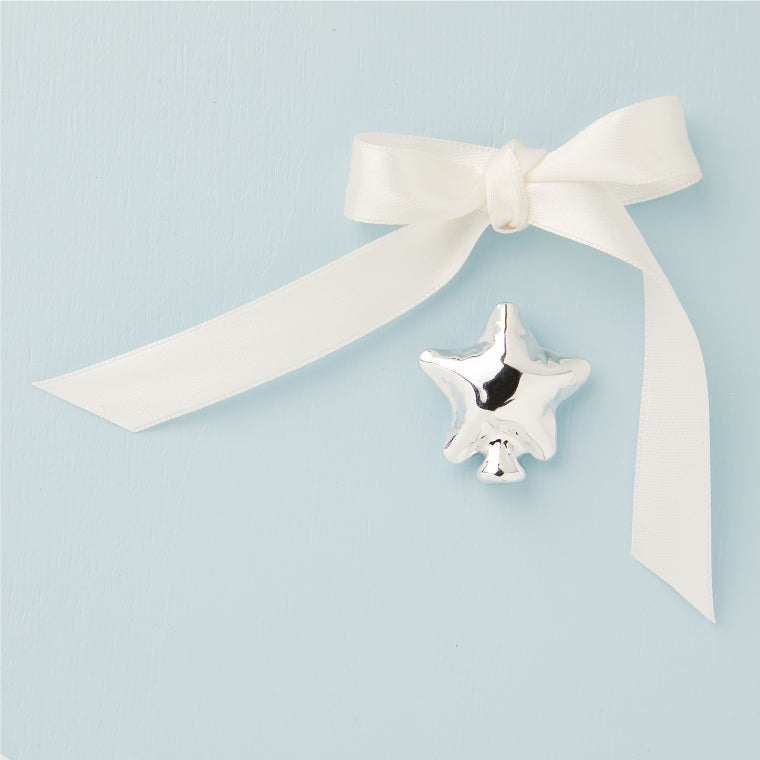 Calamita stella silver