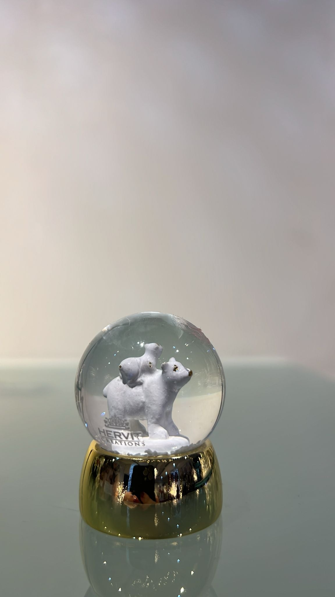 Palla acqua/neve orsi polari