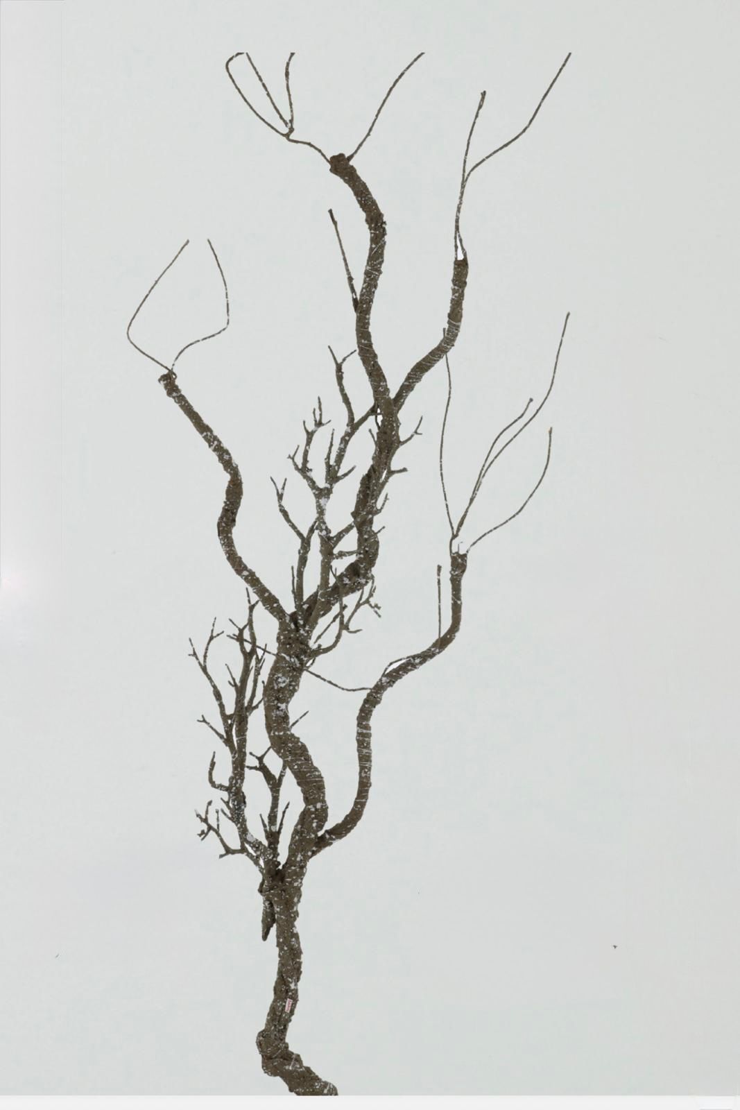 Ramo sintentico modellabile