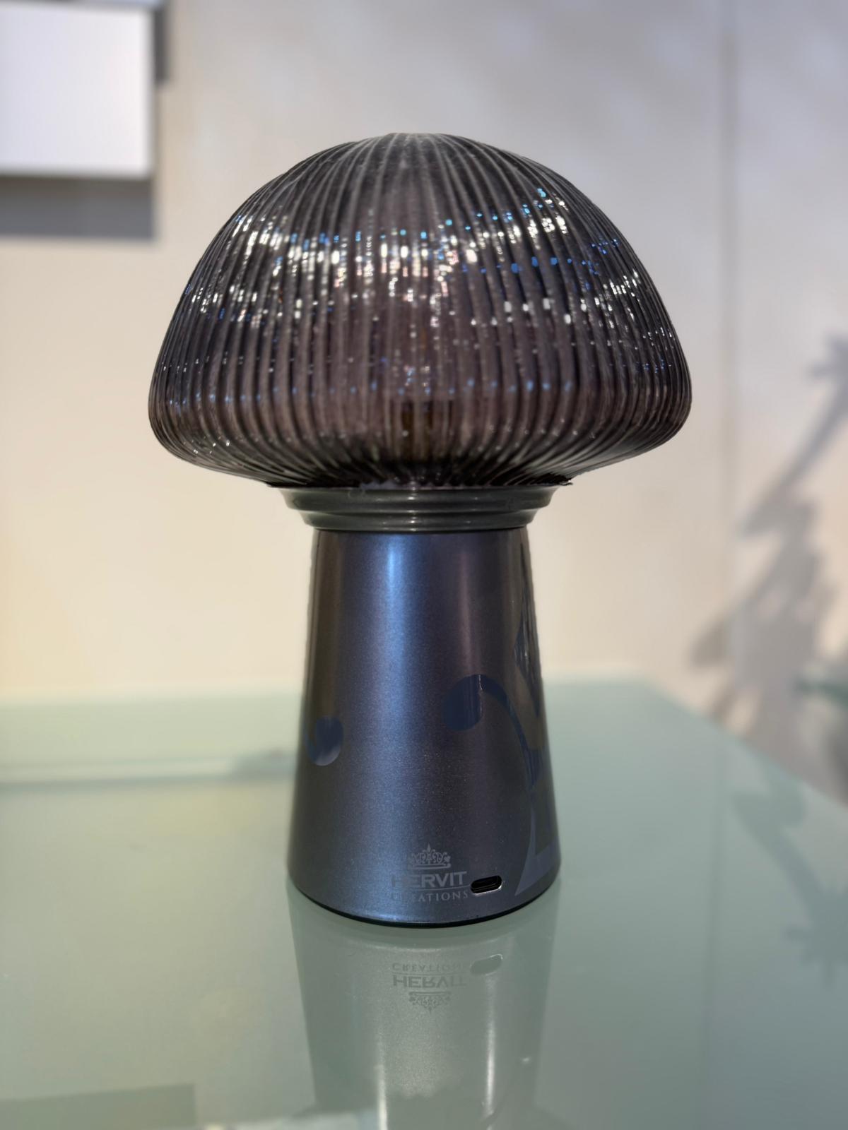 Lampada ricaricabile silver