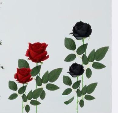 Rose "Baccarat" in velluto