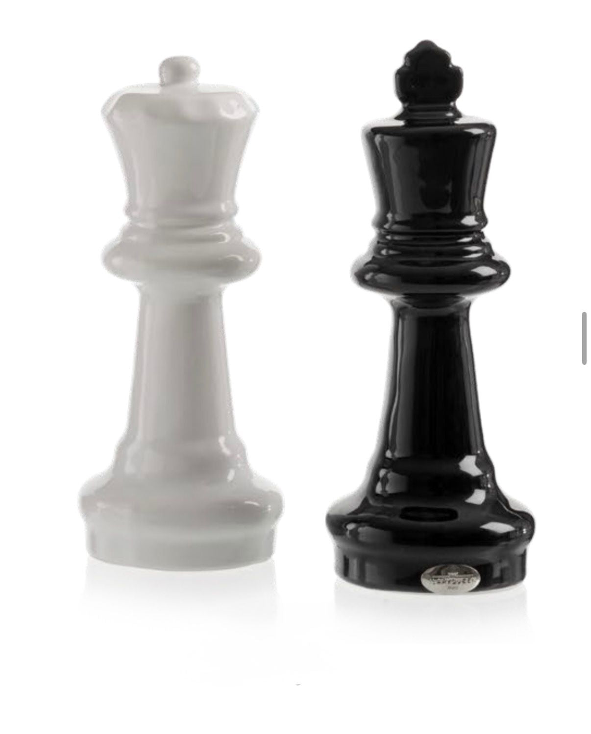 Scacchi "Regina bianca e Re nero"