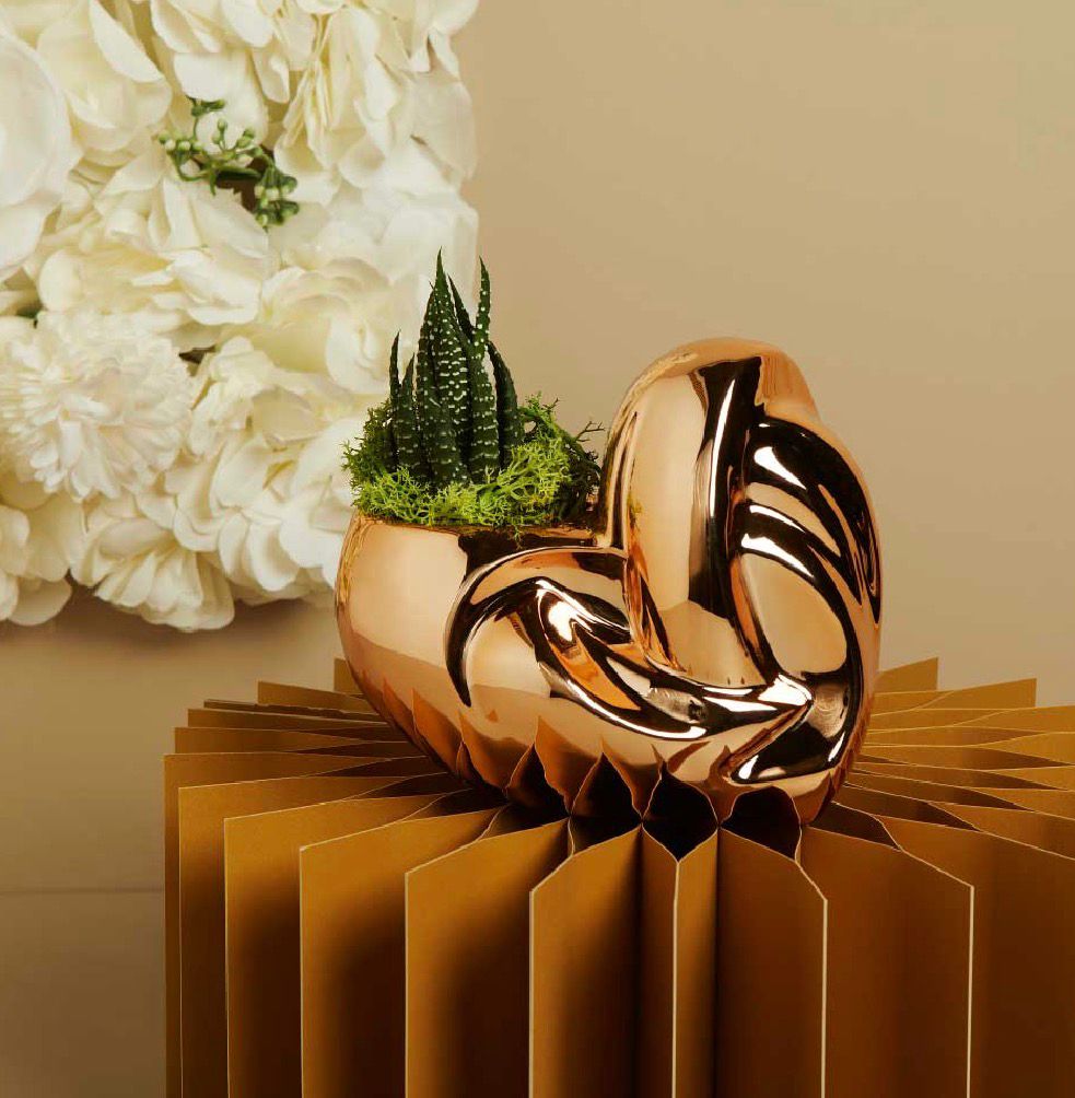 Vaso Oro Rosa Con Piantina E Muschio