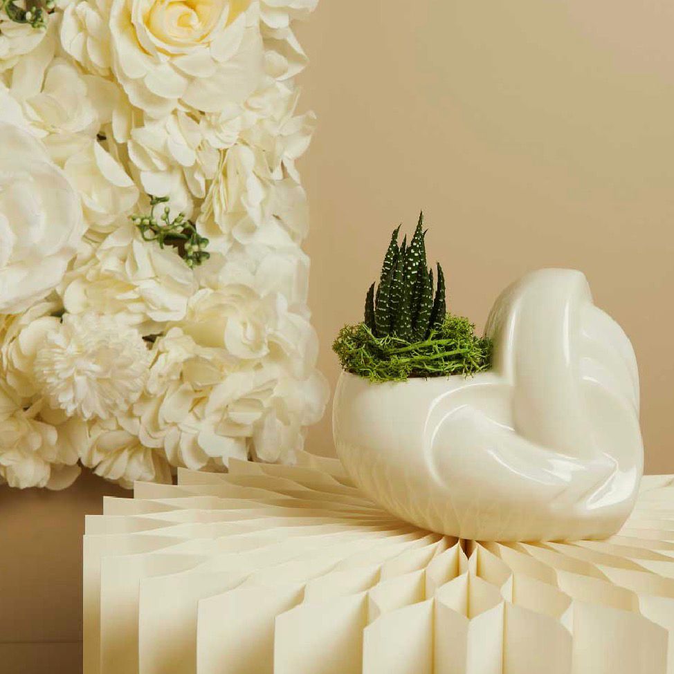 Vaso Bianco Con Piantina E Muschio