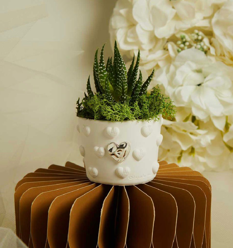 Vasetto Cuoricini Con Applicazione Silver E Piantina Con Muschio