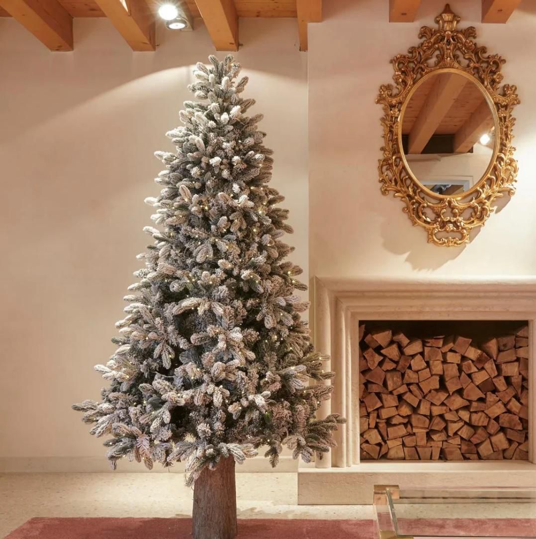 Pino Merano Innevato