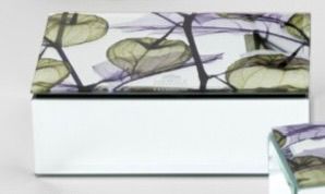 Cofanetto Legno Specchio