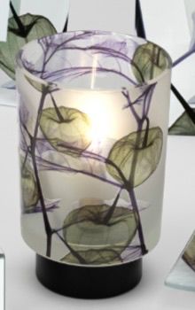 Lampada Vetro Alkekengi Verde