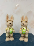 Coniglio Teddy
