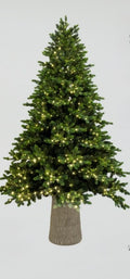 Albero Berg Luminoso