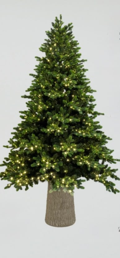 Albero Berg Luminoso
