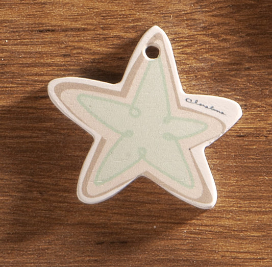 ciondolo in gesso stella