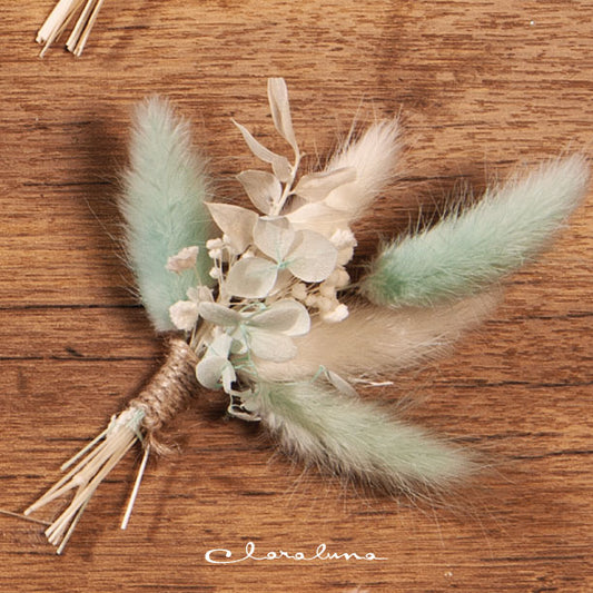 pampas colorata