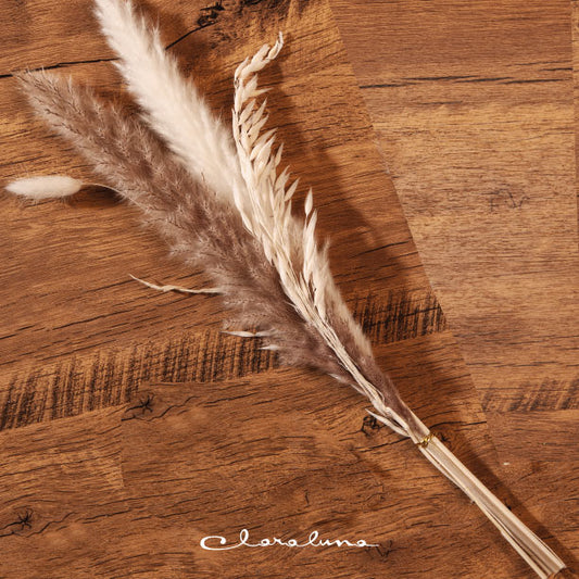 pampas