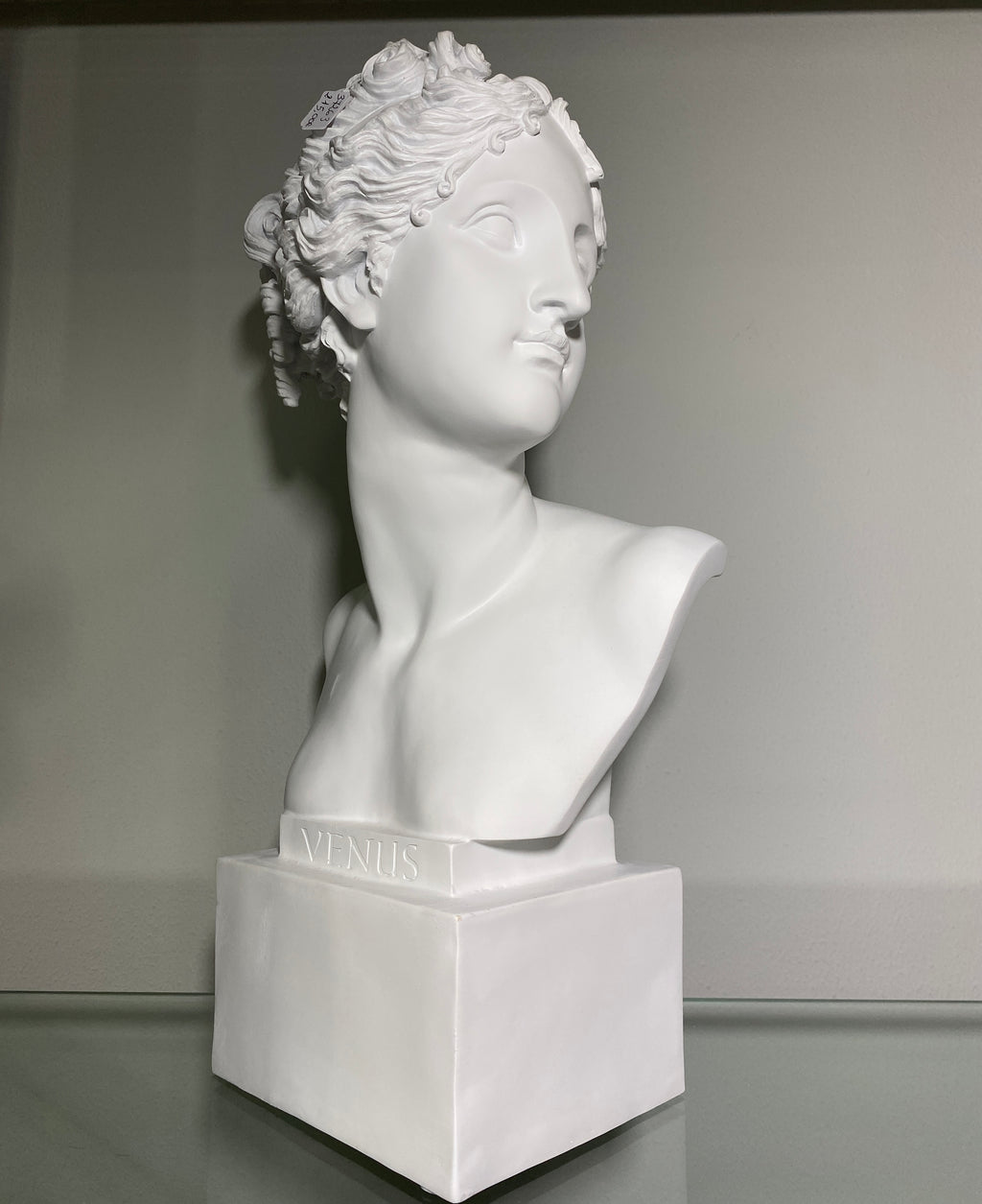 Busto uomo/Busto donna