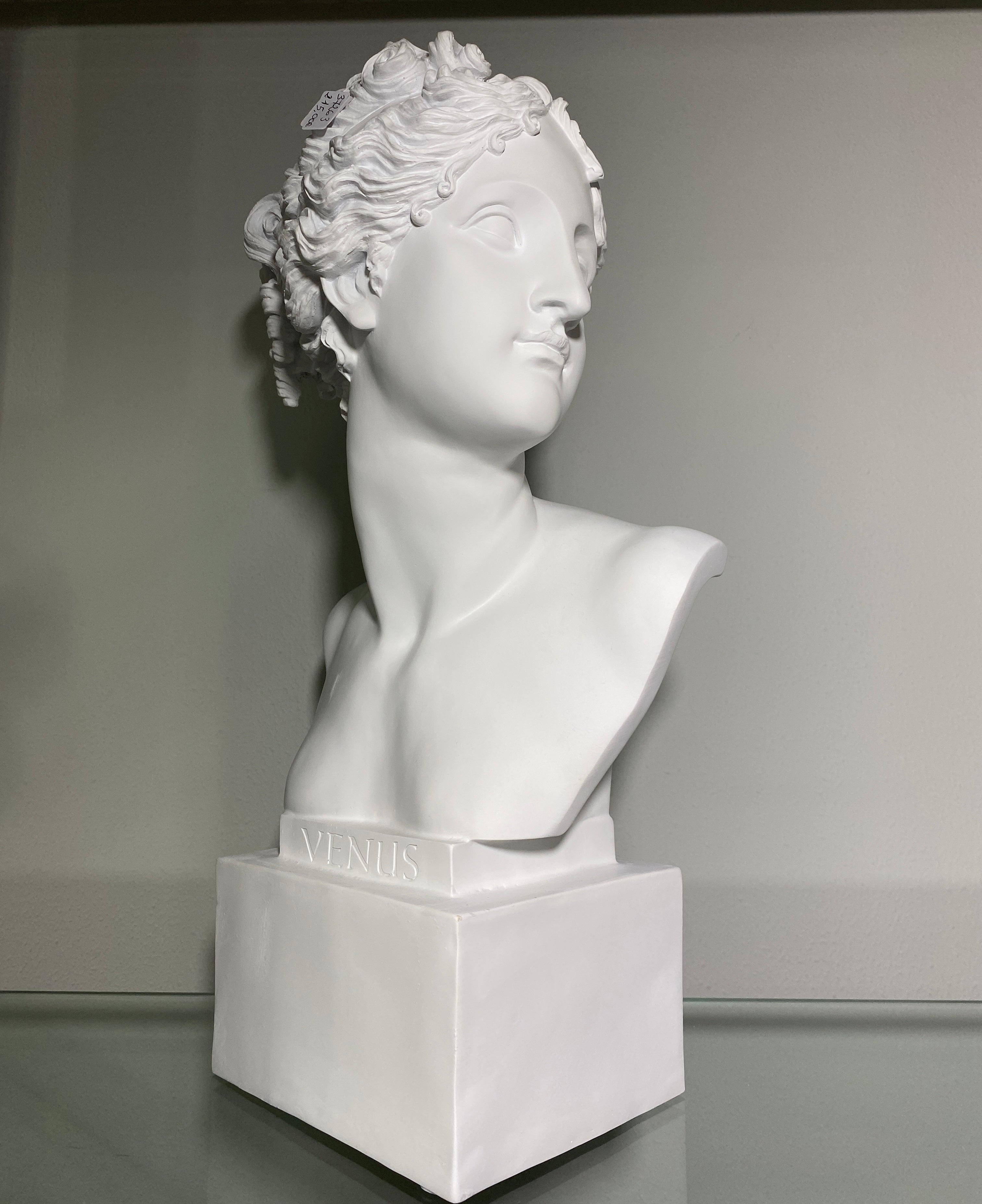 Busto uomo/Busto donna