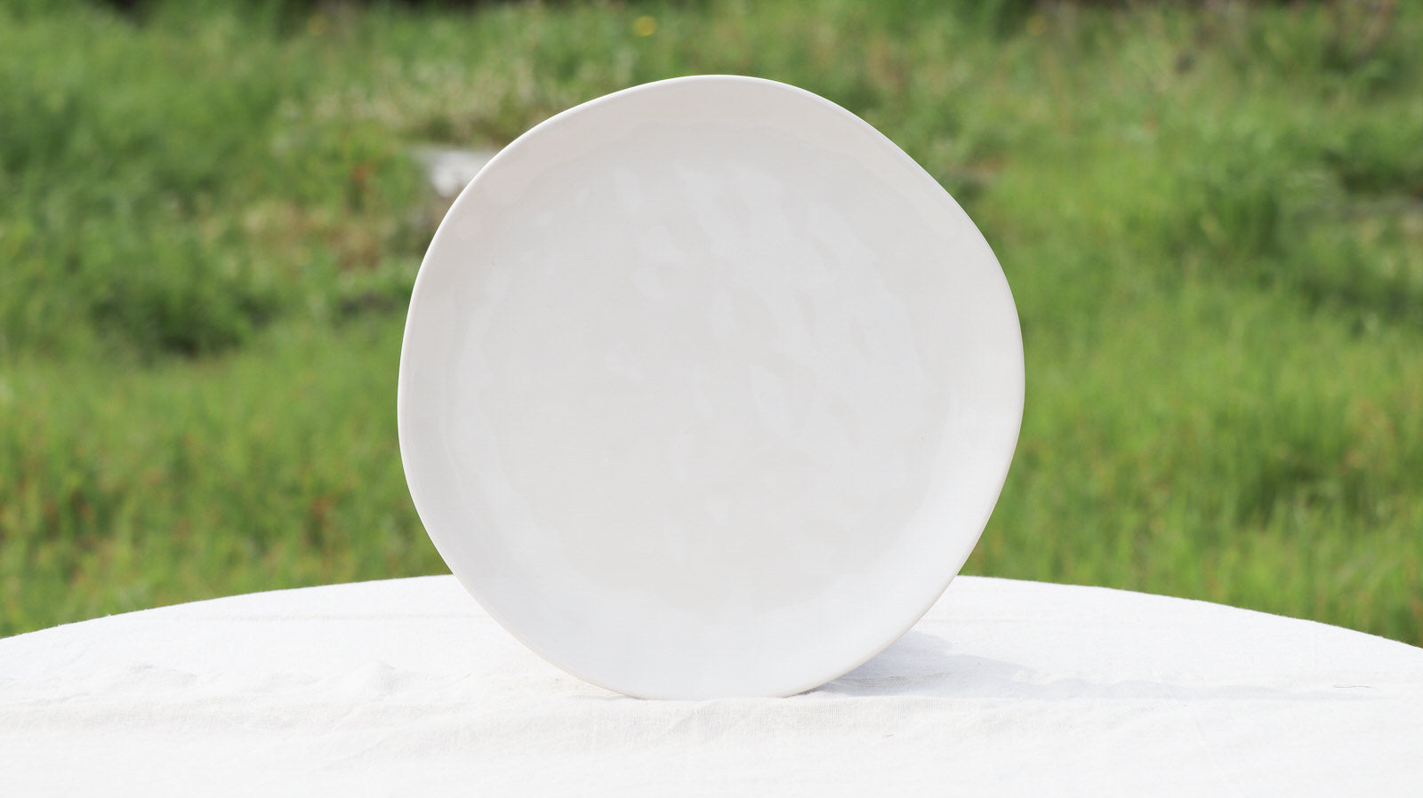 Set da 6 piatti SCHERZER