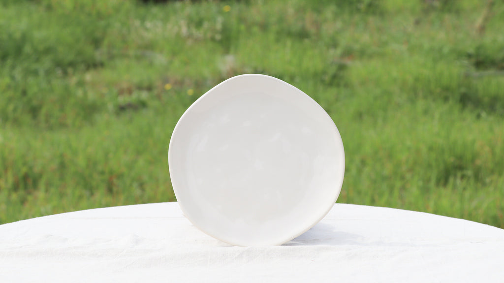 Set da 6 piatti SCHERZER