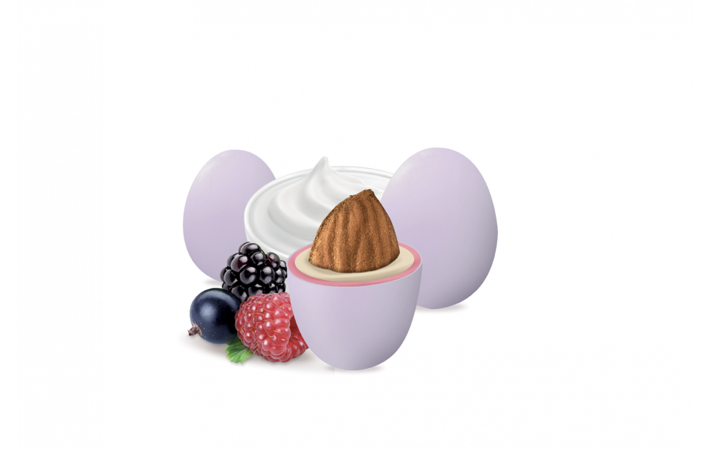 Maxtris Enzo Miccio - Lilla