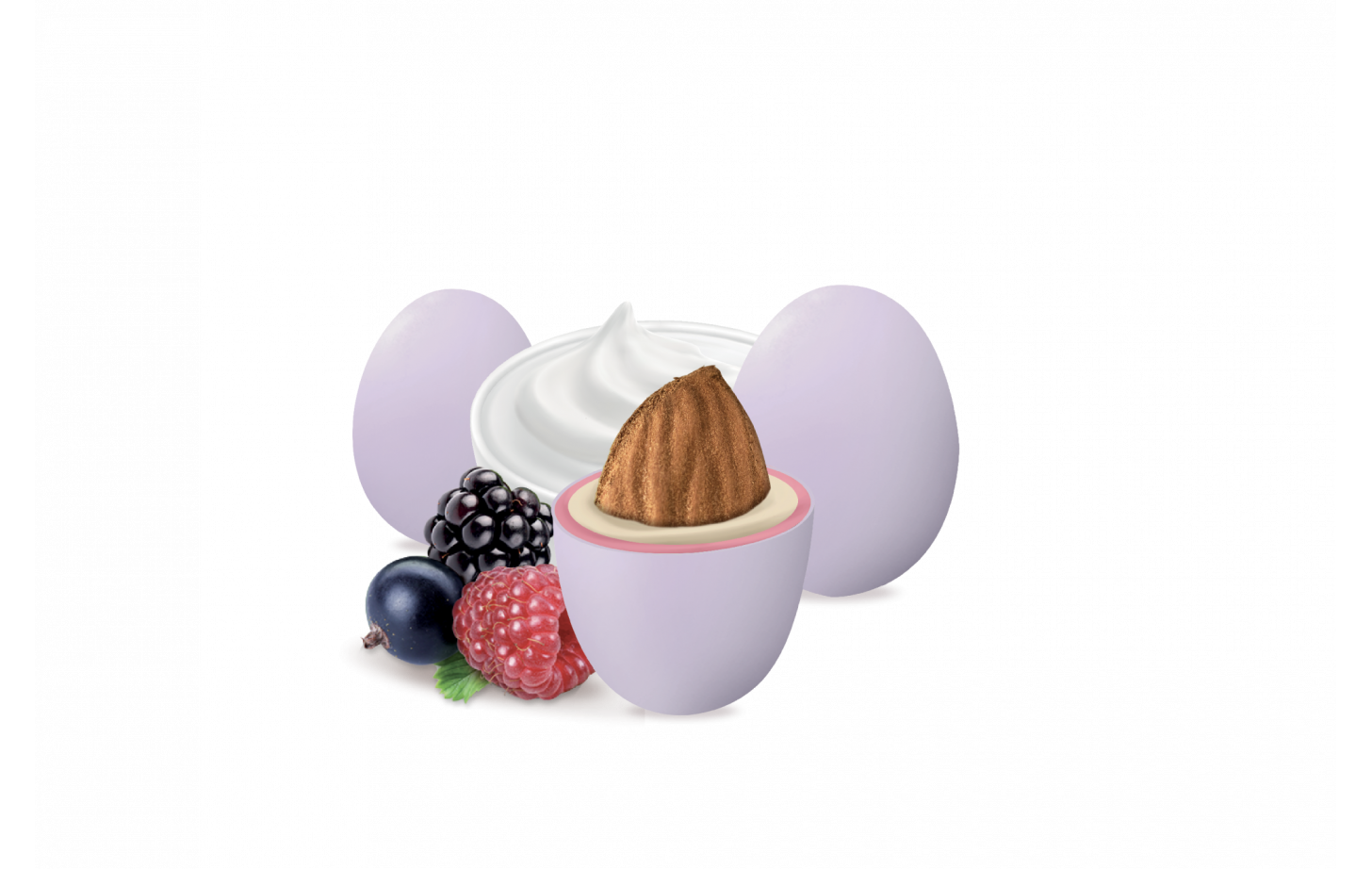 Maxtris Enzo Miccio - Lilla