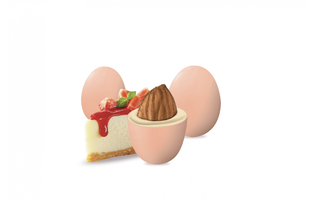 Maxtris Enzo Miccio - Pesca