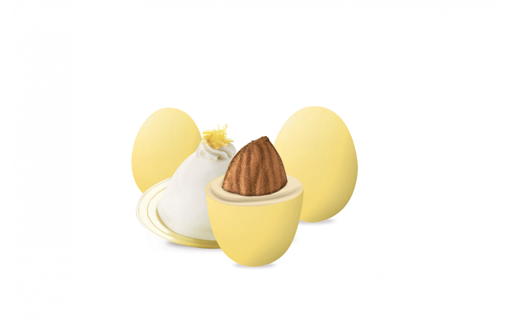 Maxtris Enzo Miccio - Sun